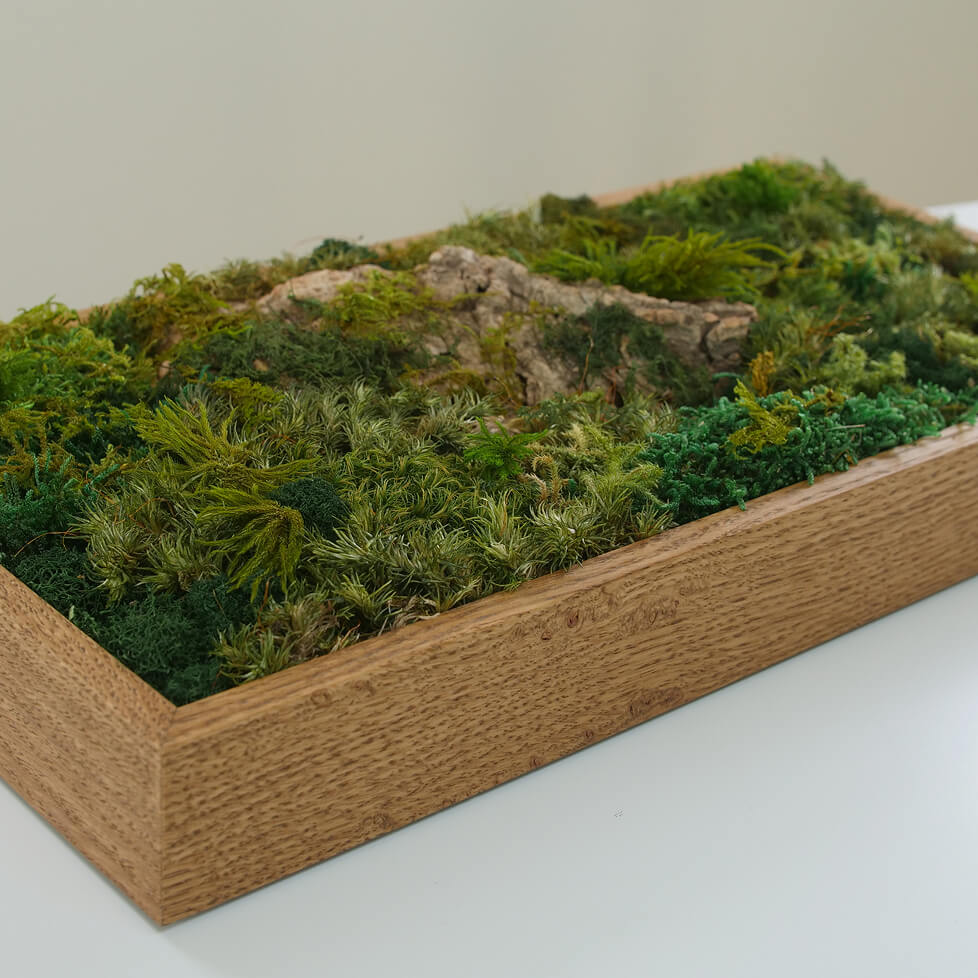 長方形 Mサイズ（全3色）