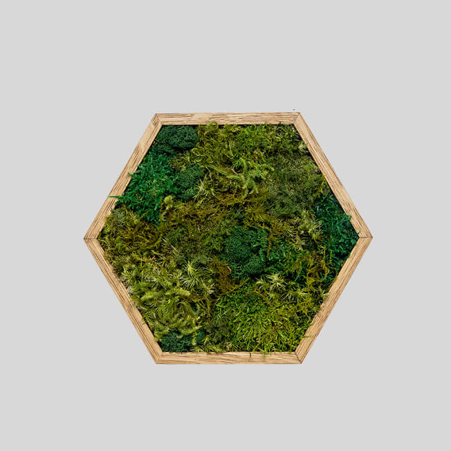 六角形Lサイズ（全3色）