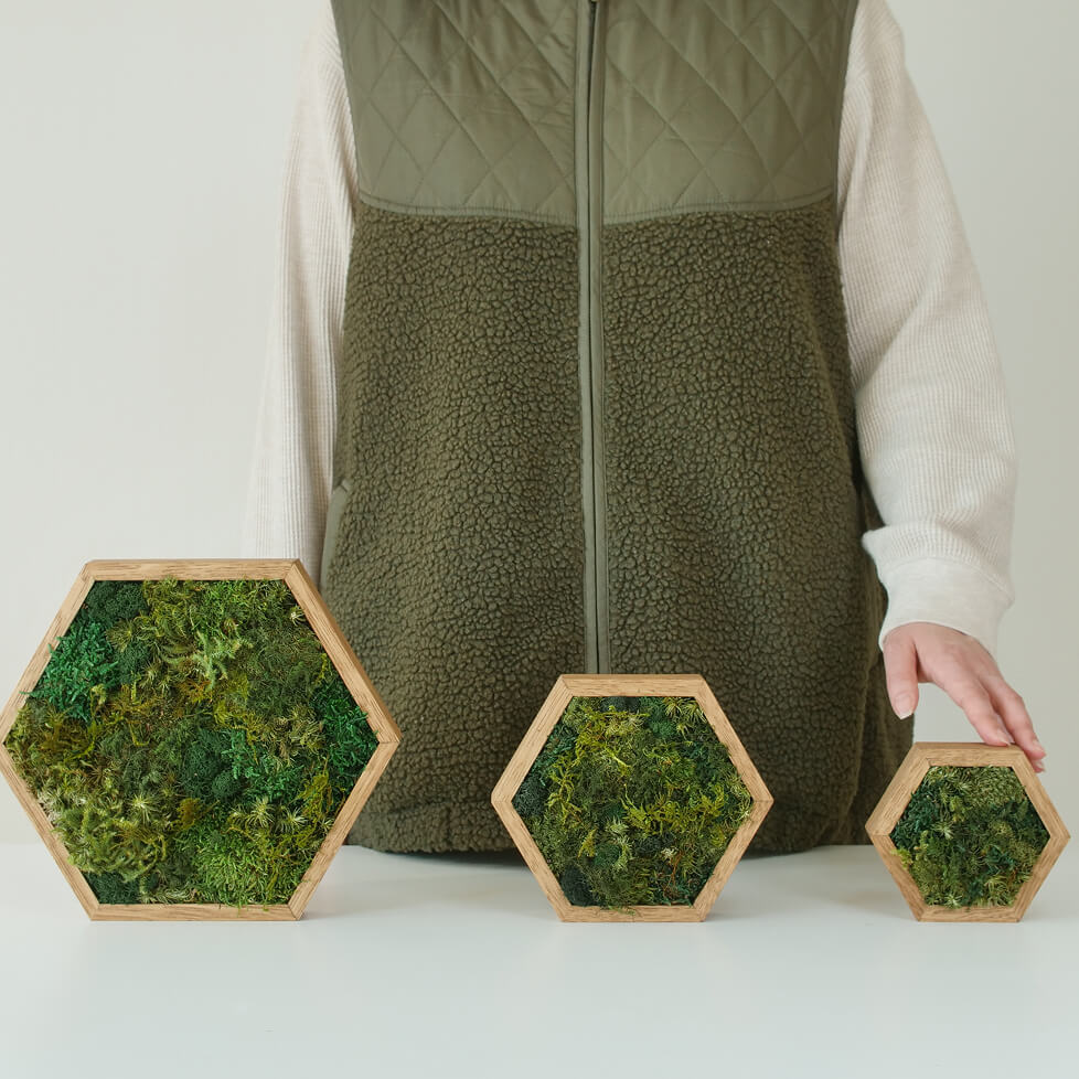 六角形Lサイズ（全3色）