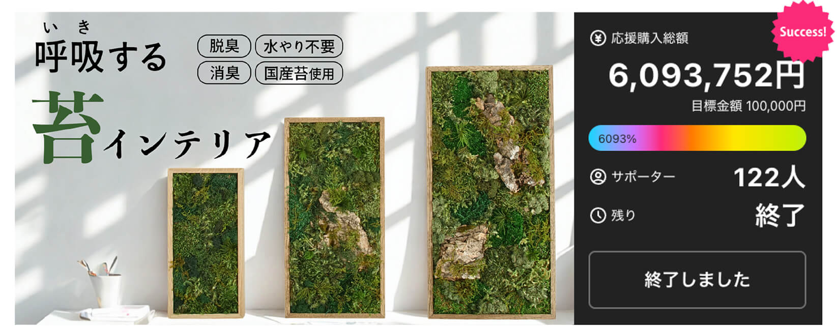 呼吸する苔インテリア