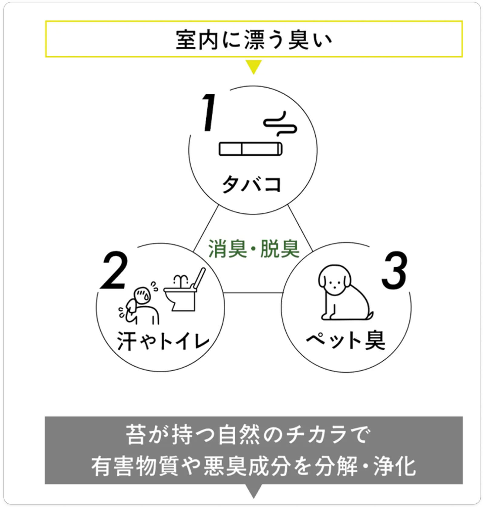 室内に漂う臭い