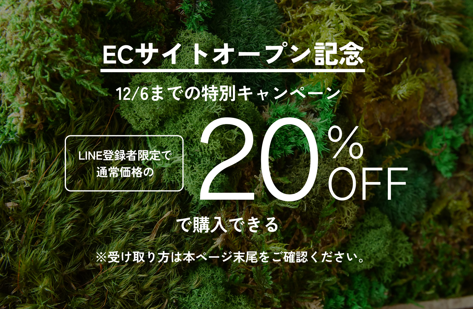 ECサイトオープン記念 11/30までの特別キャンペーン 20%OFF